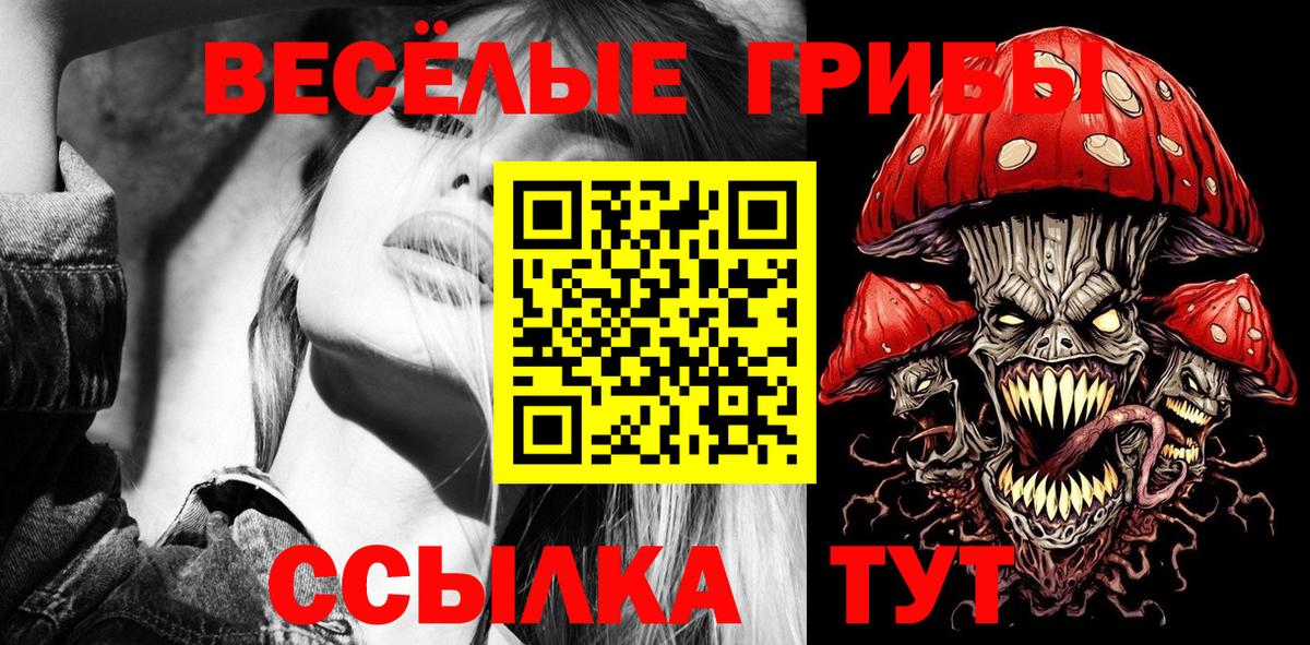 Галлюциногенные грибы GOLDEN TEACHER Новозыбков