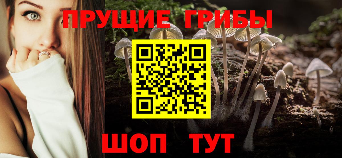 Галлюциногенные грибы прущие грибы  Вход с VPN  цены   Новозыбков 