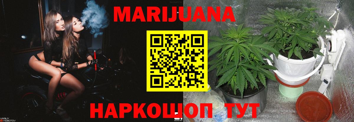 Канабис сатива  Бошки марихуана White Widow  Конопля планчик  Вход с VPN  Новозыбков  Марихуана Ganja 